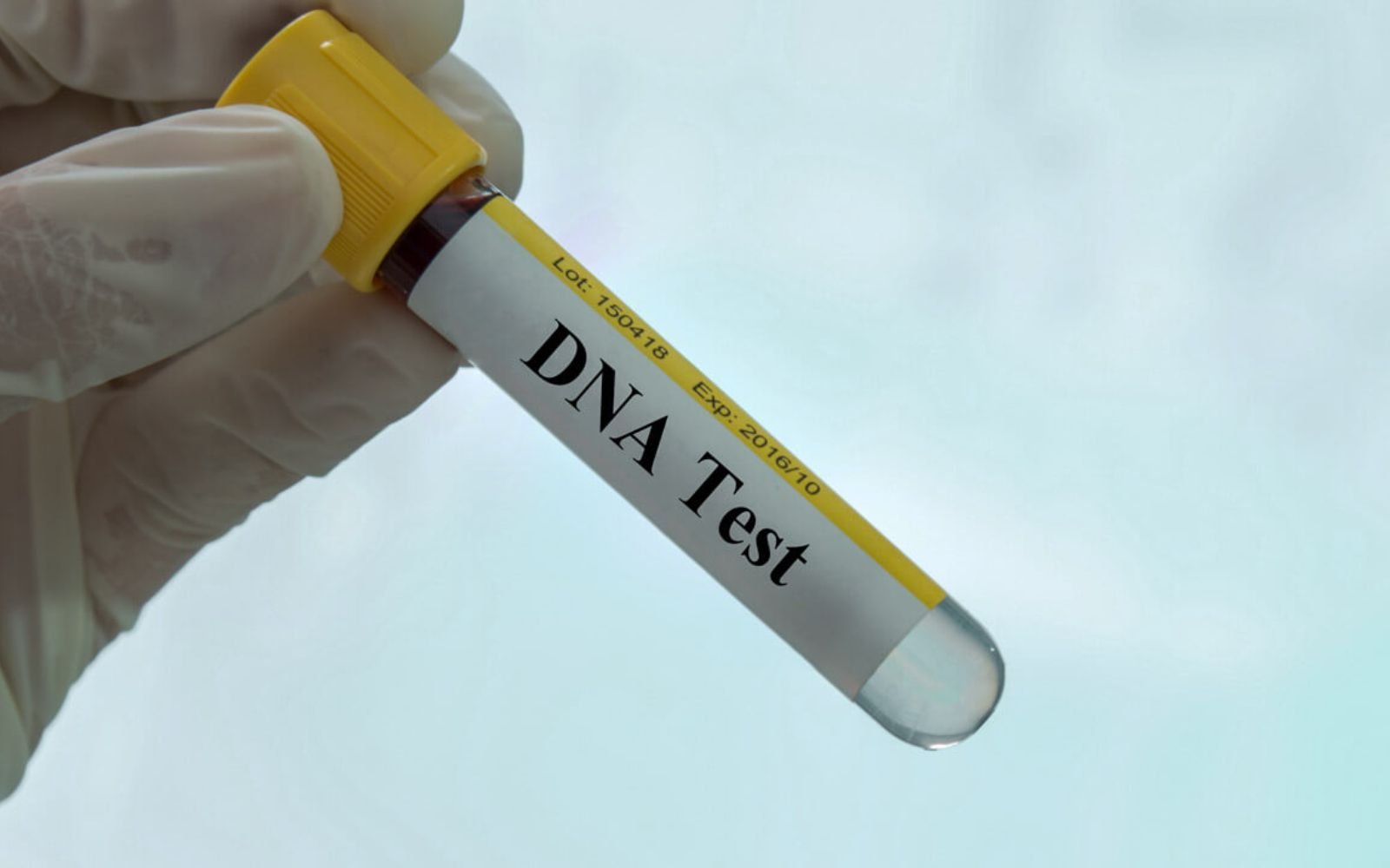 Immigration DNA Testing Explained: Step-by-Step Guide to Family Visa Proof